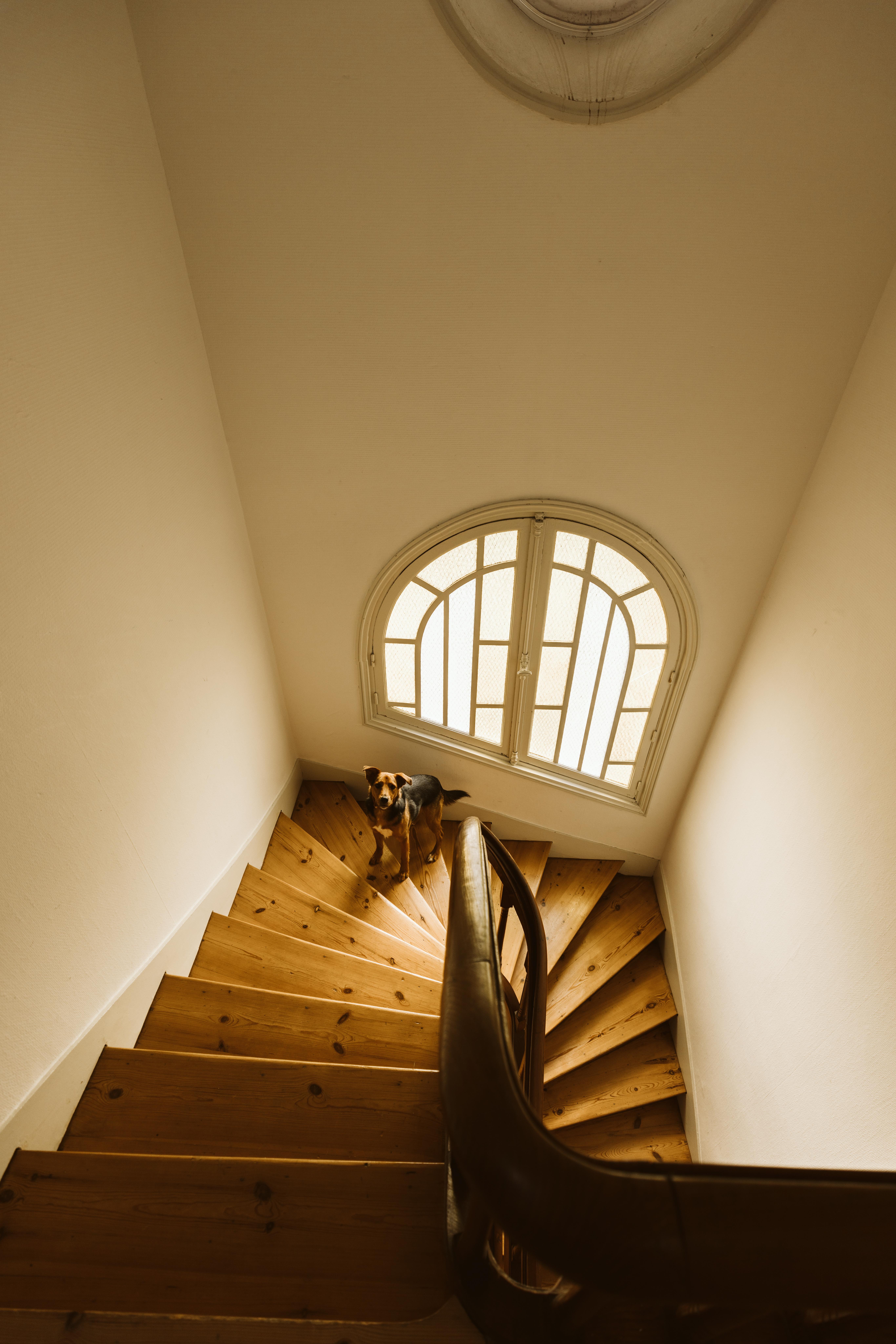 Villa Nymphéa mariage