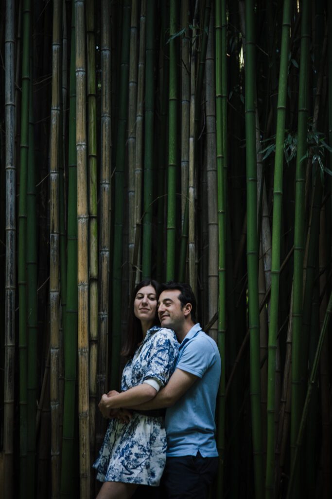 Wedding engagement session Poitiers